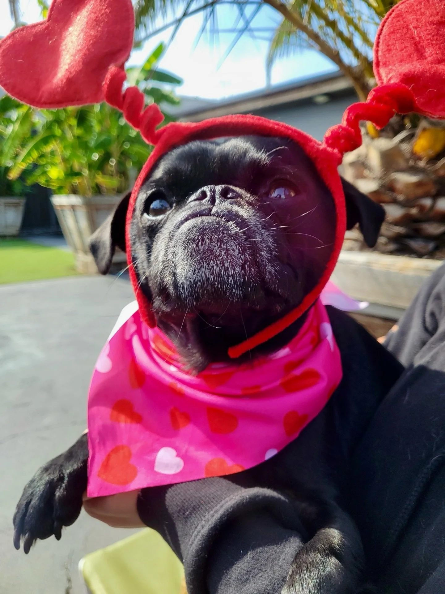 Happy Valentine&rsquo;s Day! 💘💌🫶❤️