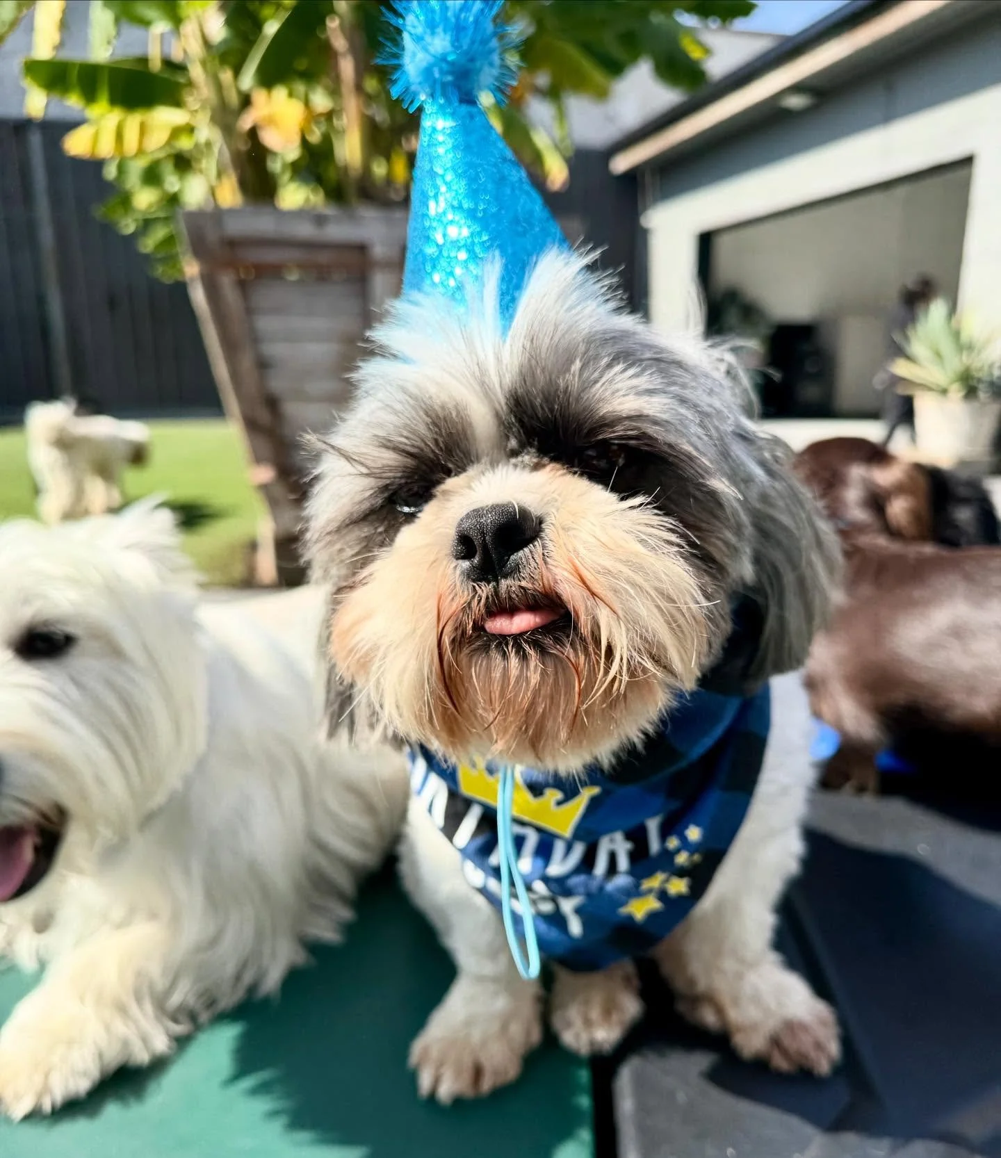 Happy Birthday Eddie!!! 🧁🧁🧁