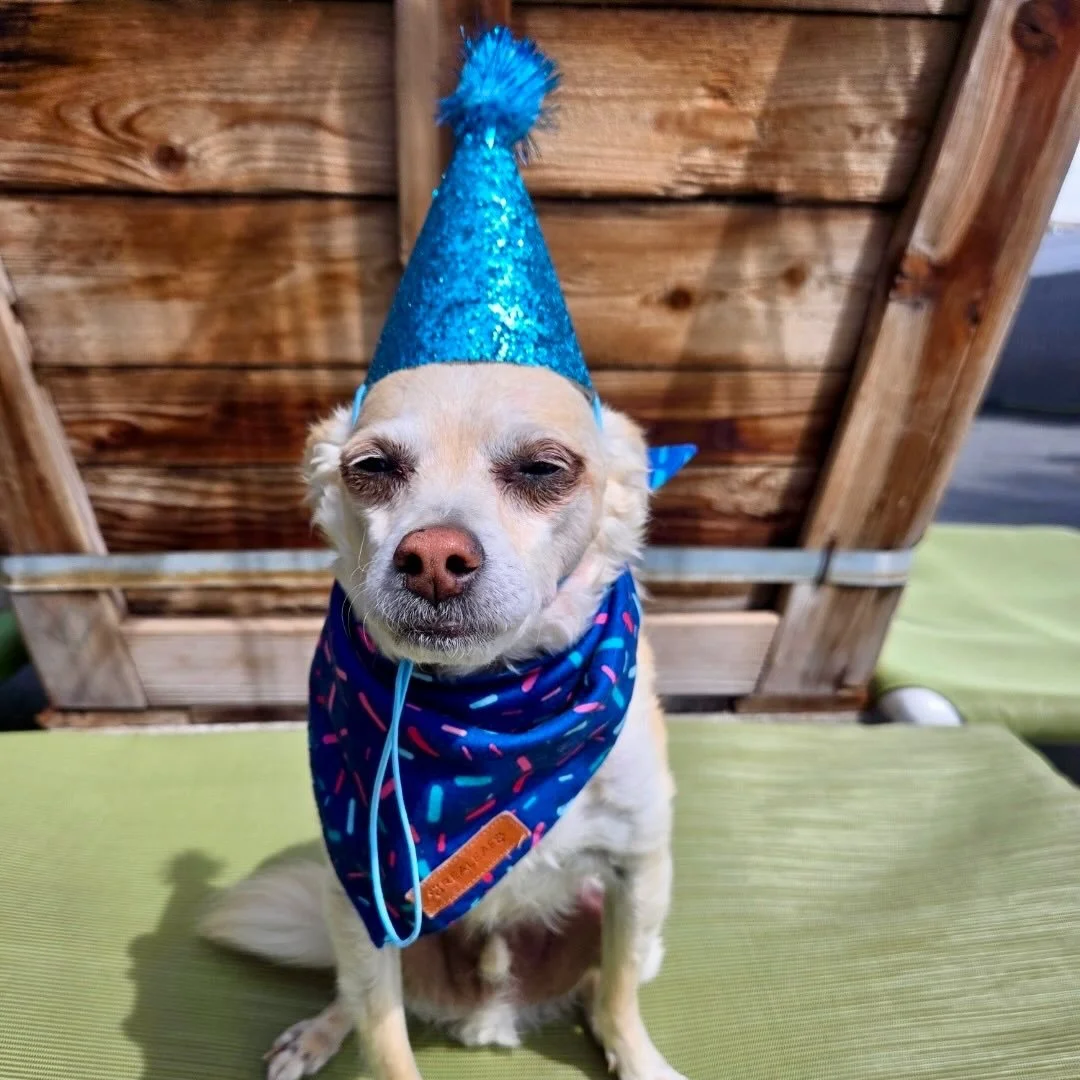 Happy Birthday Fitz!! 🎉