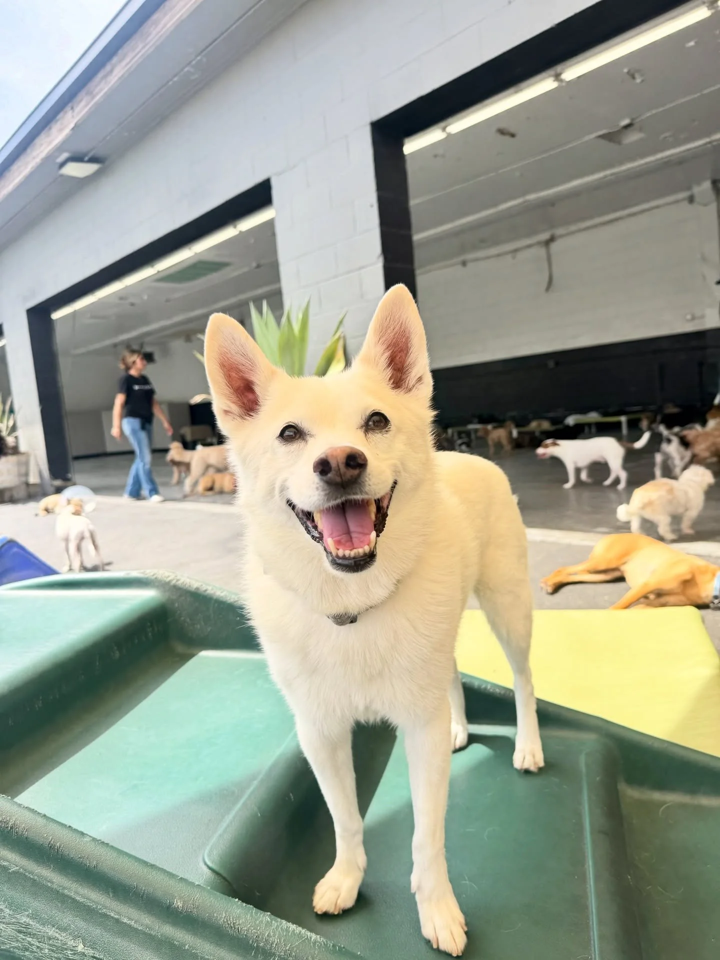 Friday Small Squad 😎