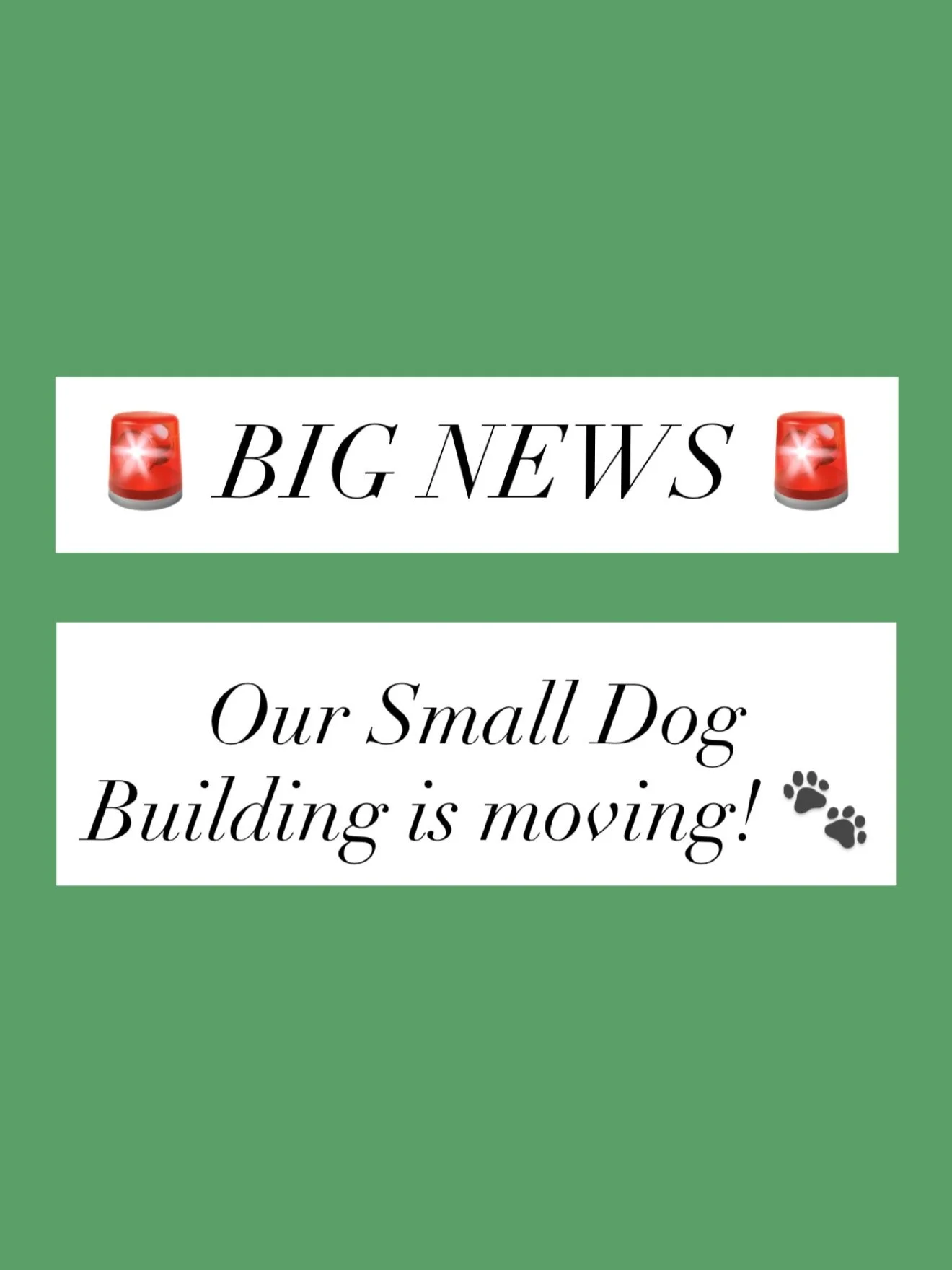 🚨 BIG ANNOUNCEMENT 🚨 Our Small Dog Building is getting a new home right next to our Big Dog Building!

Starting April 28th, all small dog daycare + boarding + grooming will be at the new spot 🐾

Same pack, same care&hellip; just all in one place n