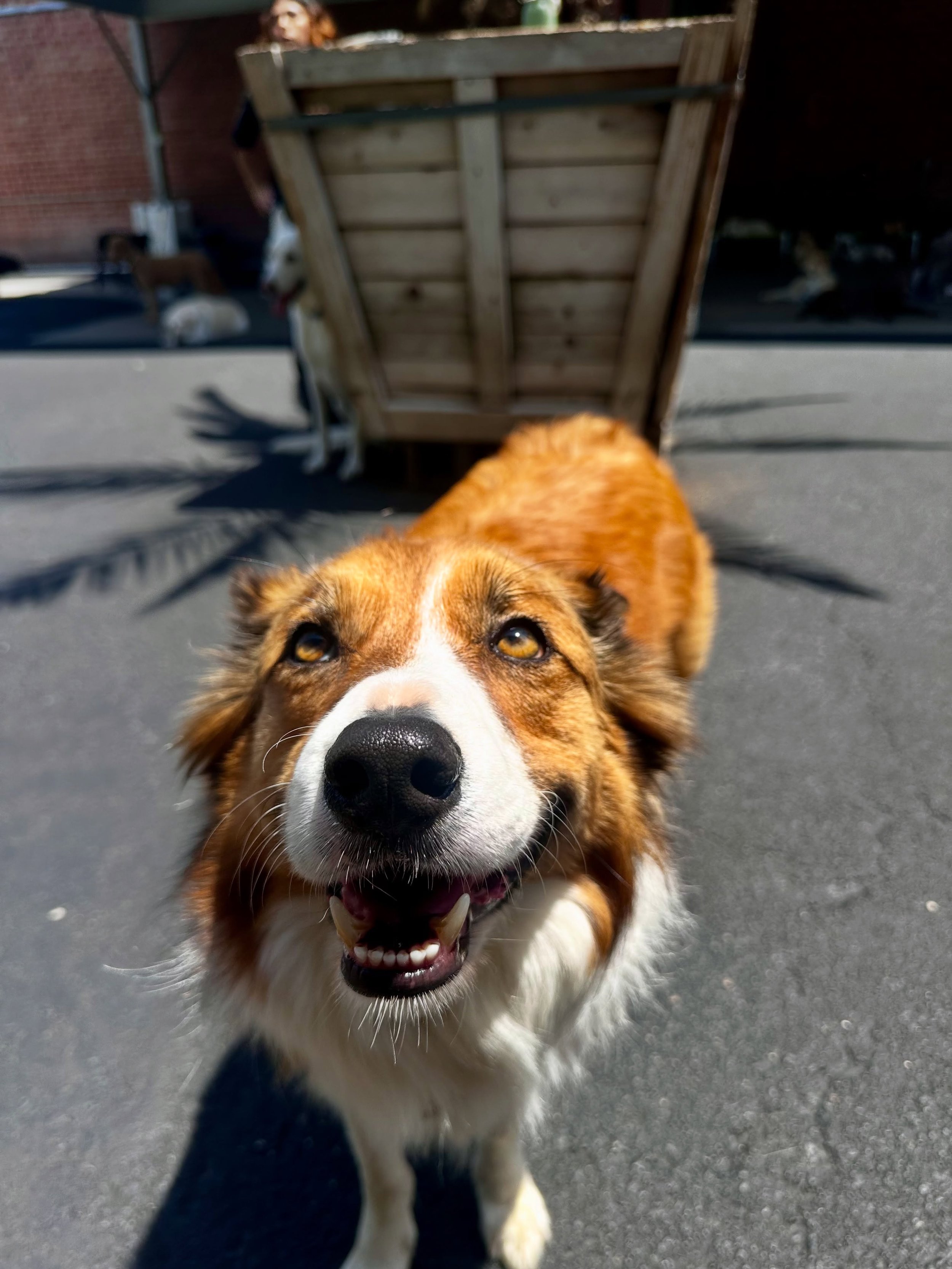 ☀️☀️☀️