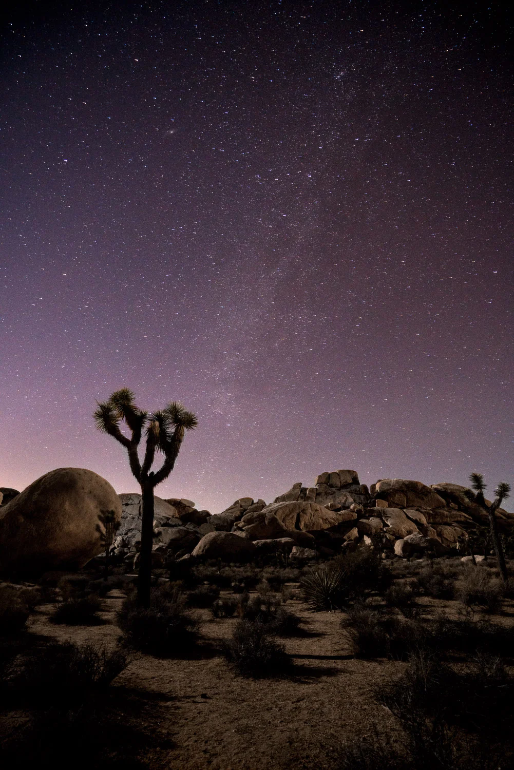 untitled shoot-779-Edit-Edit.jpg