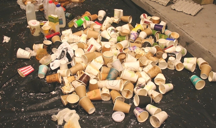  This small pile is a fraction of a typical day's used coffee cups 