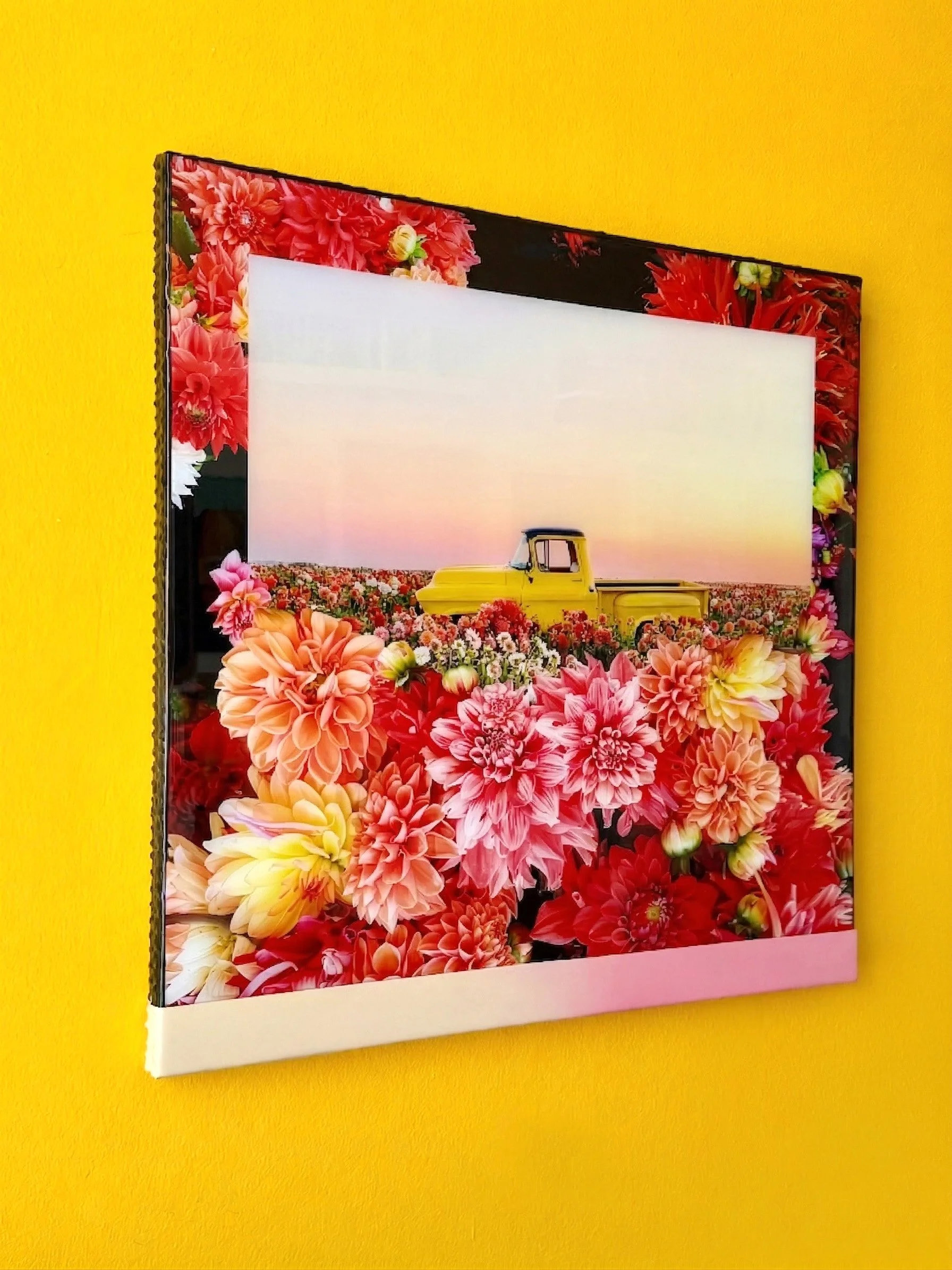 Gemini_Generated_Image_q763h3q763h3q763 copy.jpg