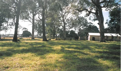 Before construction. Looking north with dairy on right.