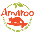 OUR ENVIRONMENT - OUR FUTURE