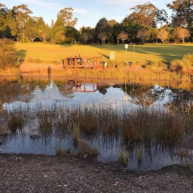 Afternoons light and reflections.  #peacehavenpark #highfields #toowoombaregion #visitdarlingdowns #sqcountry #brisbane #discoverqueensland #australia