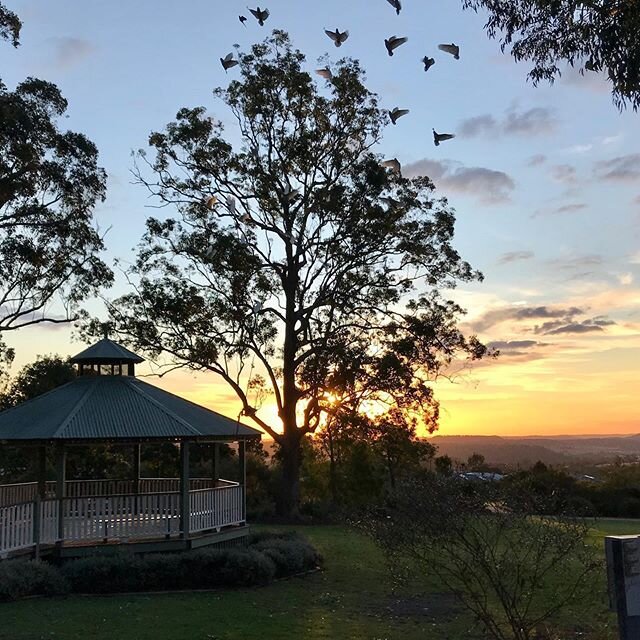 Park sunset 🌅 #peacehavenpark #highfields #toowoombaregion #visitdarlingdowns #sqcountry #wellcampairport #discoverqueensland #brisbane #australia