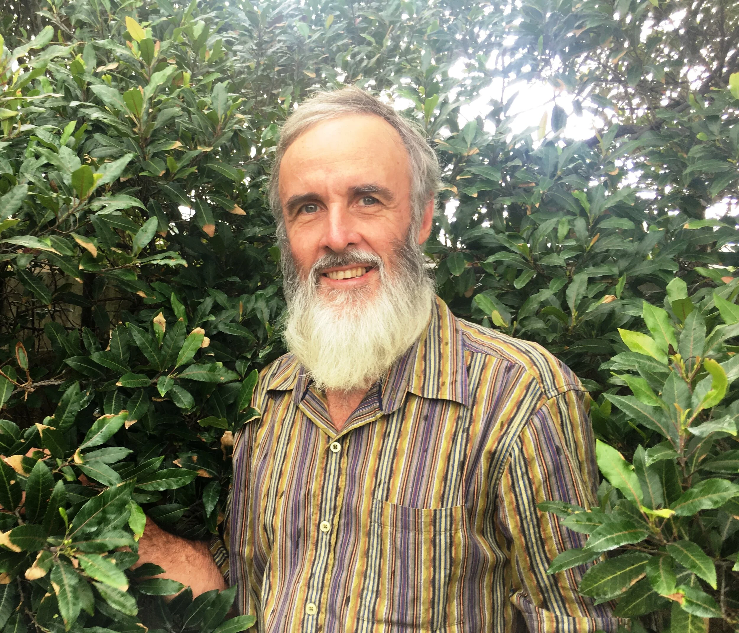 PRUNING FOR TREE CARE — Peacehaven Botanic Park