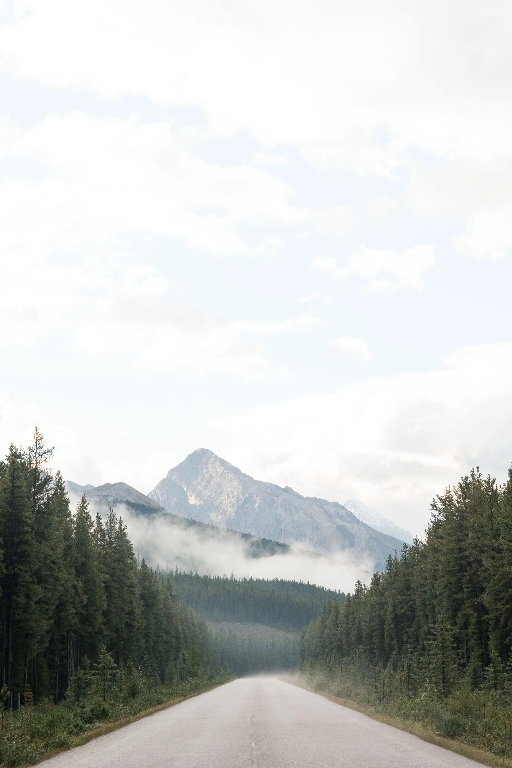 jasper-4.jpg
