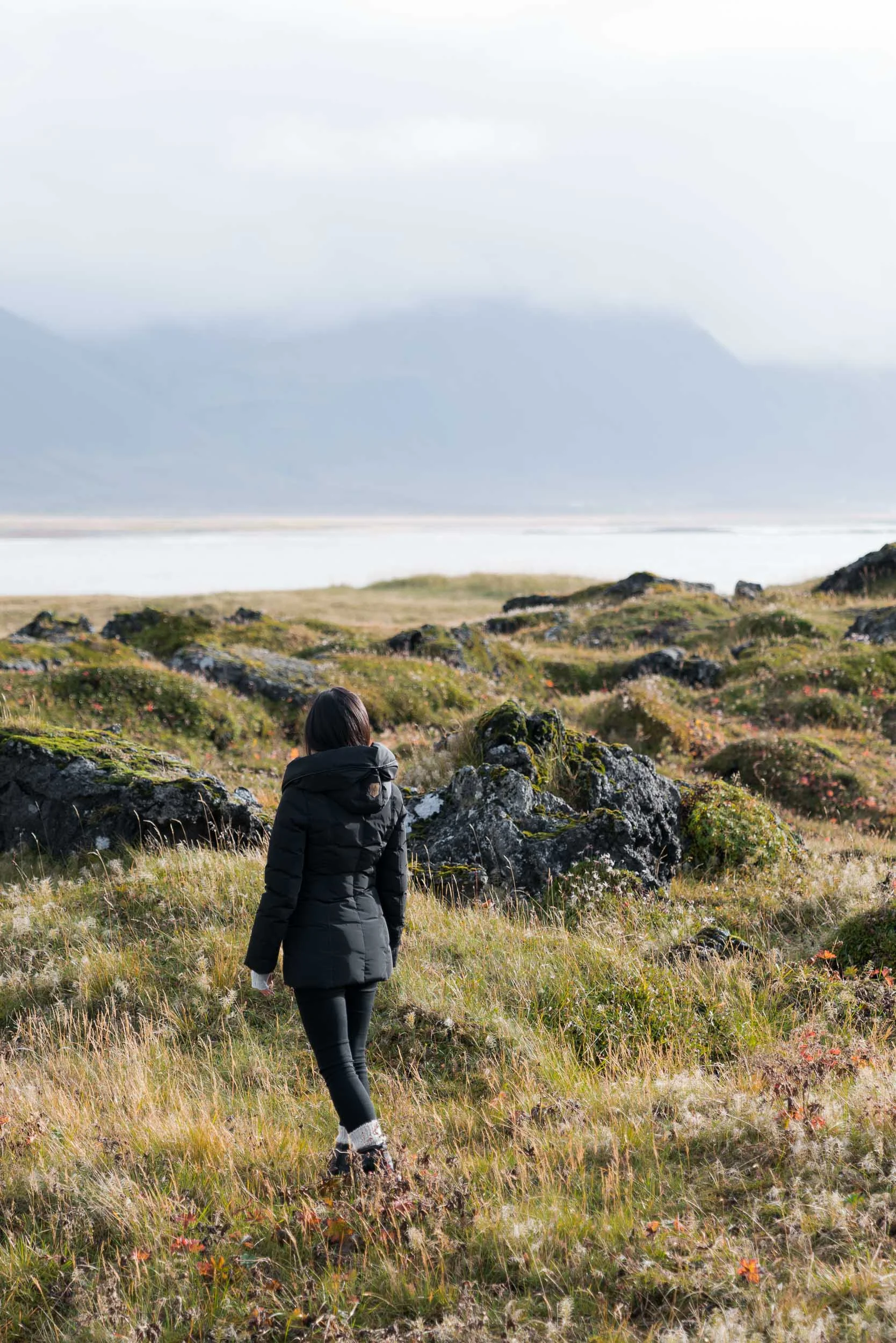 iceland_snaefellsnes_lava_field-1.jpg