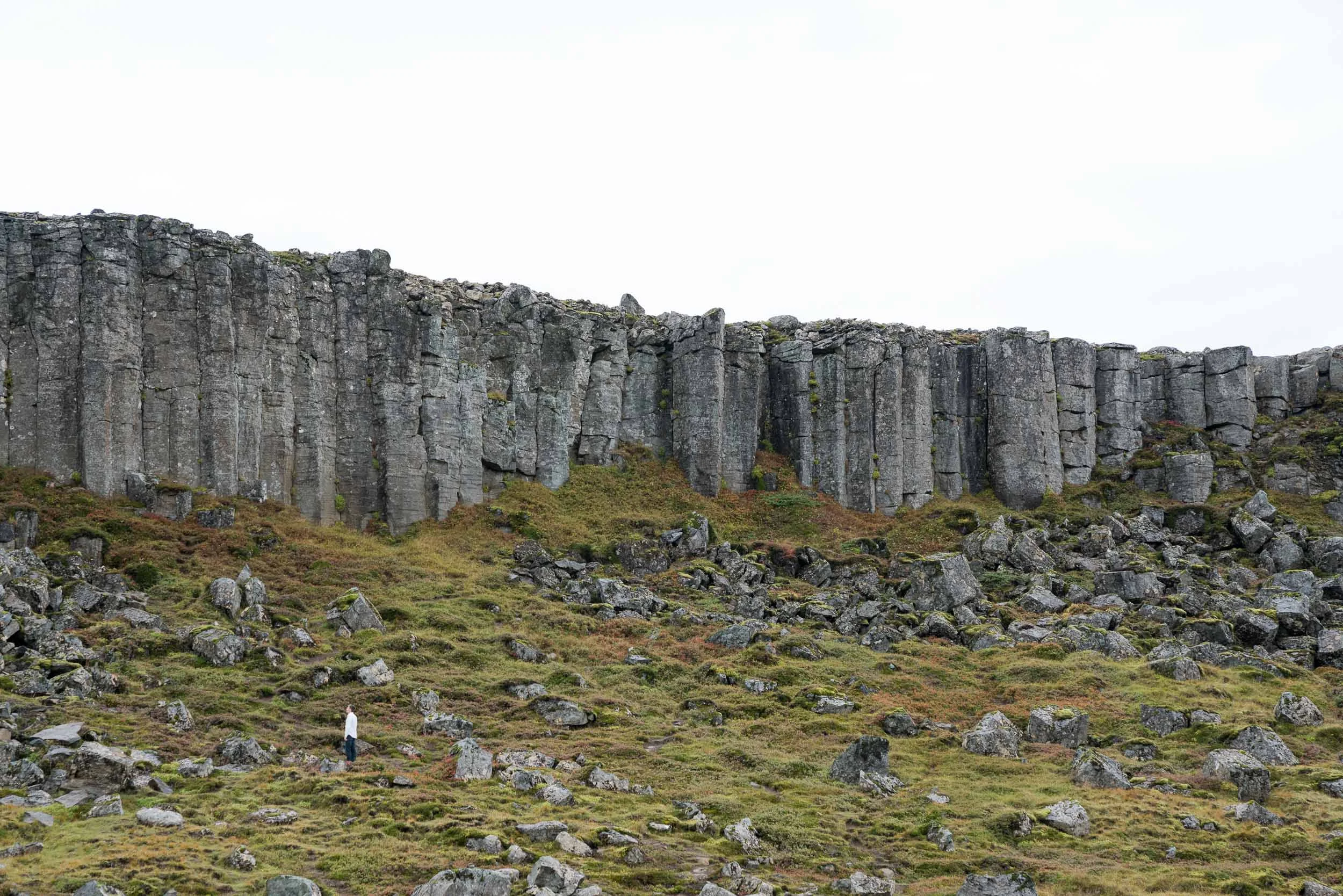 iceland_gerduberg_basalt_columns-1.jpg