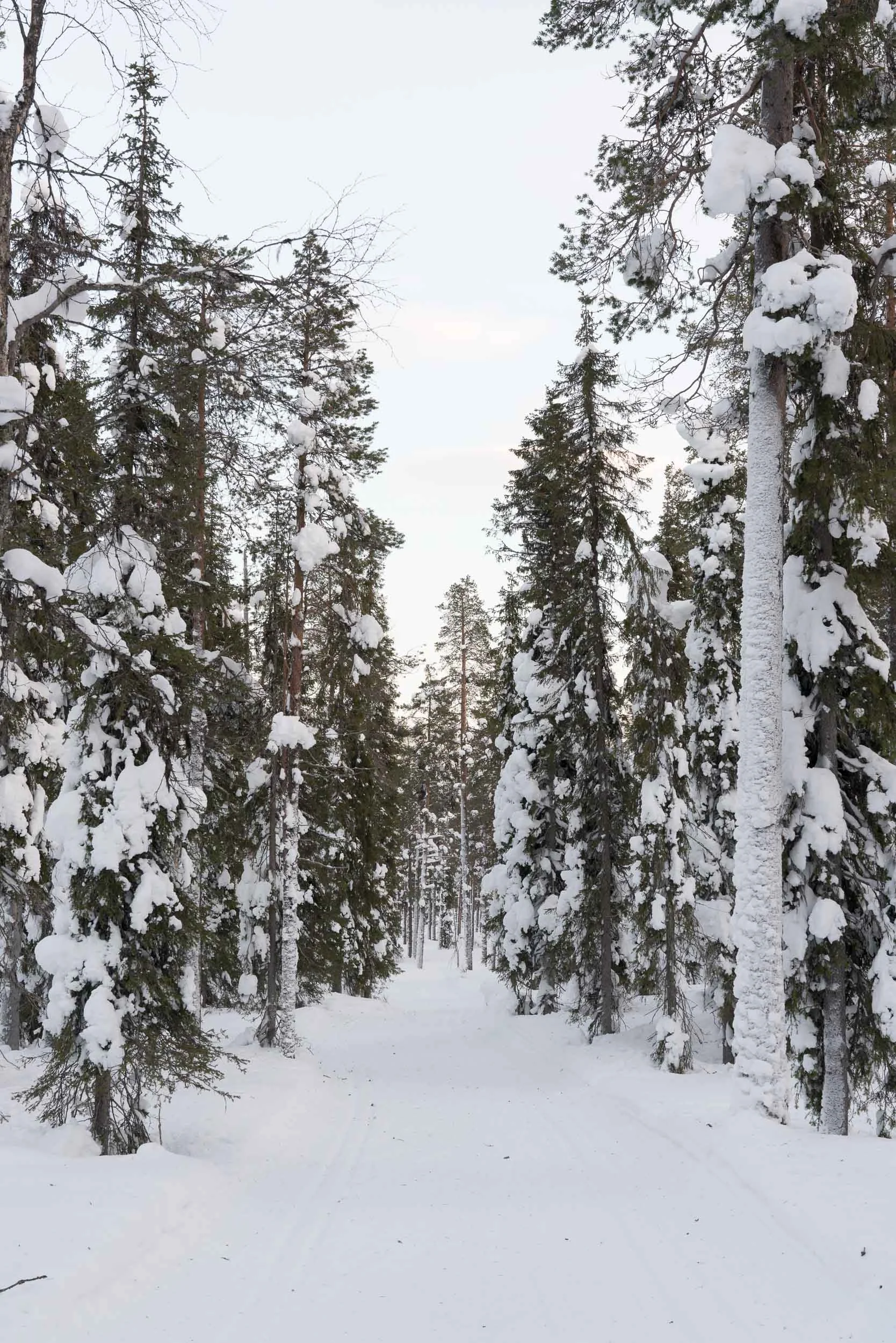 the_getaway_edit_finland_lapland-5.jpg
