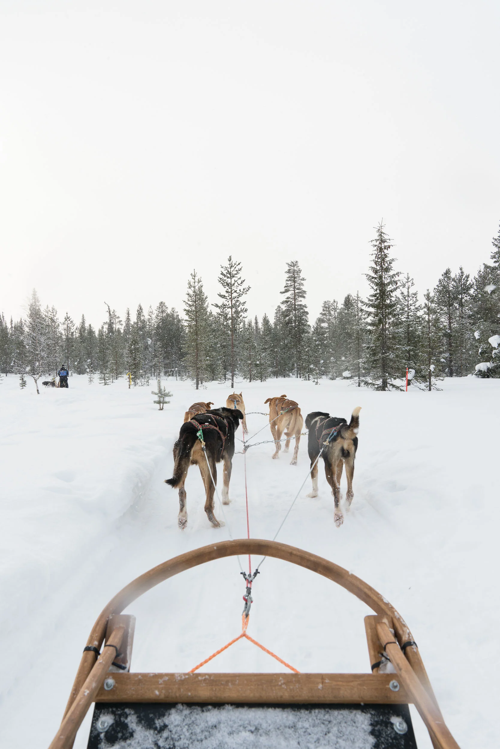 the_getaway_edit_finland_kakslauttanen_arctic_resort-6.jpg
