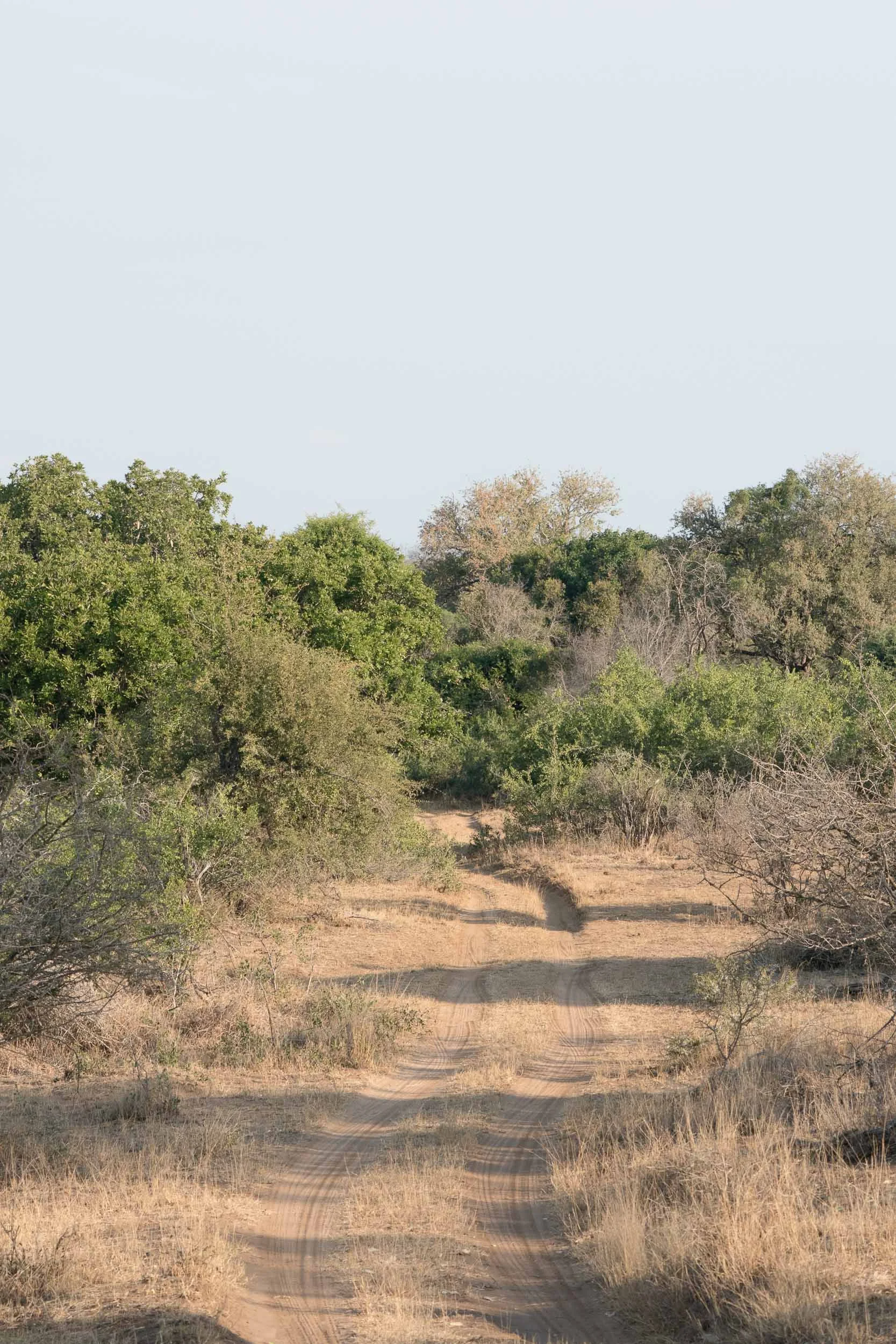 the_getaway_edit_south_africa_safari_lion_sands_game_reserve-1.jpg