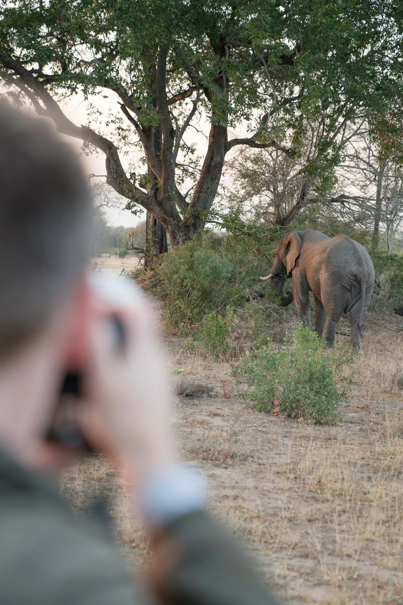 the_getaway_edit_south_africa_safari_londolozi_game_reserve-35.jpg