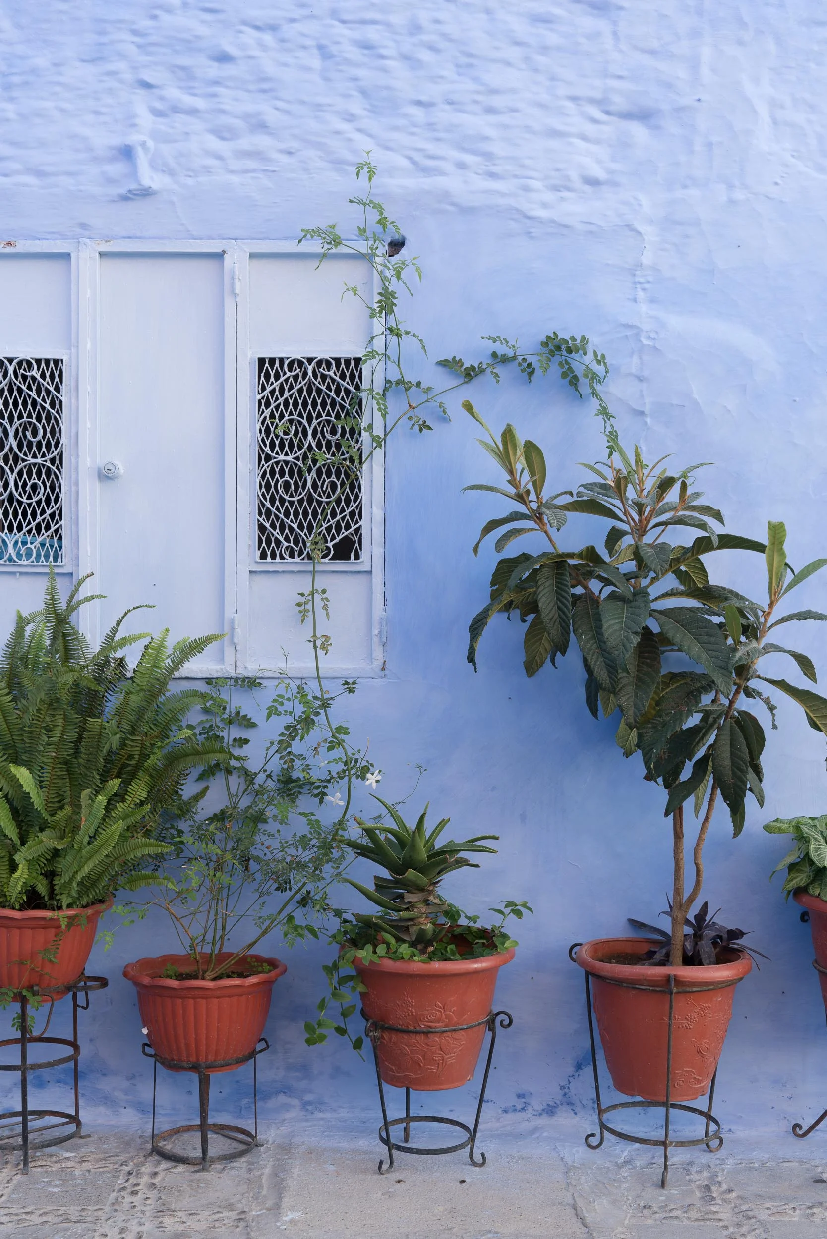 the_getaway_edit_morocco_chefchaouen-10.jpg