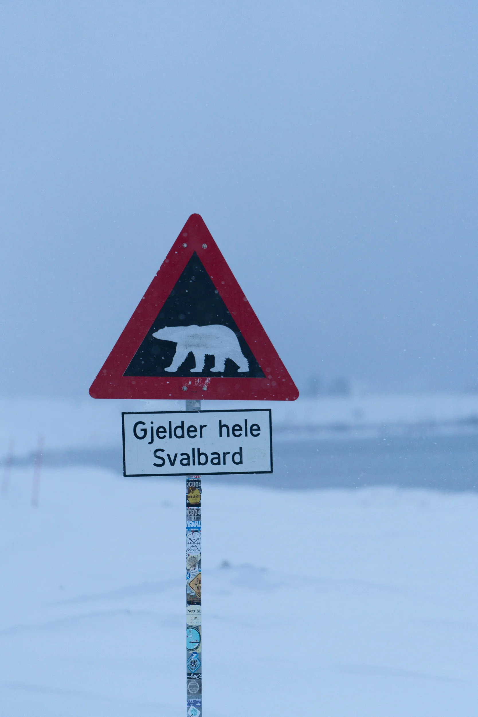 the_getaway_edit_svalbard-17.jpg