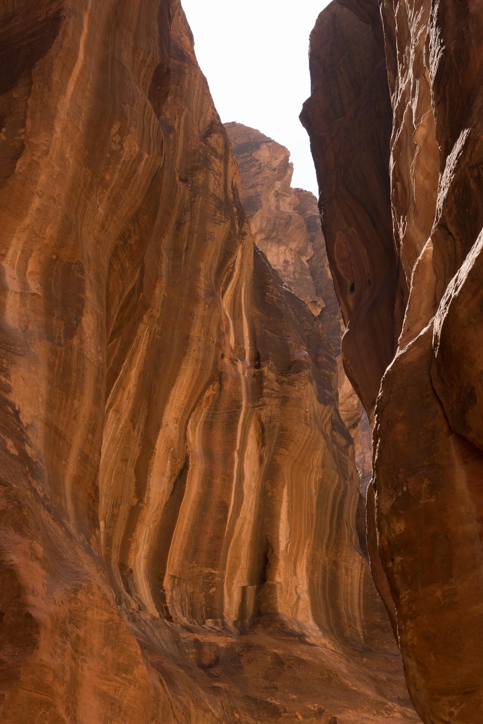 the_getaway_edit_jordan_petra-18.jpg