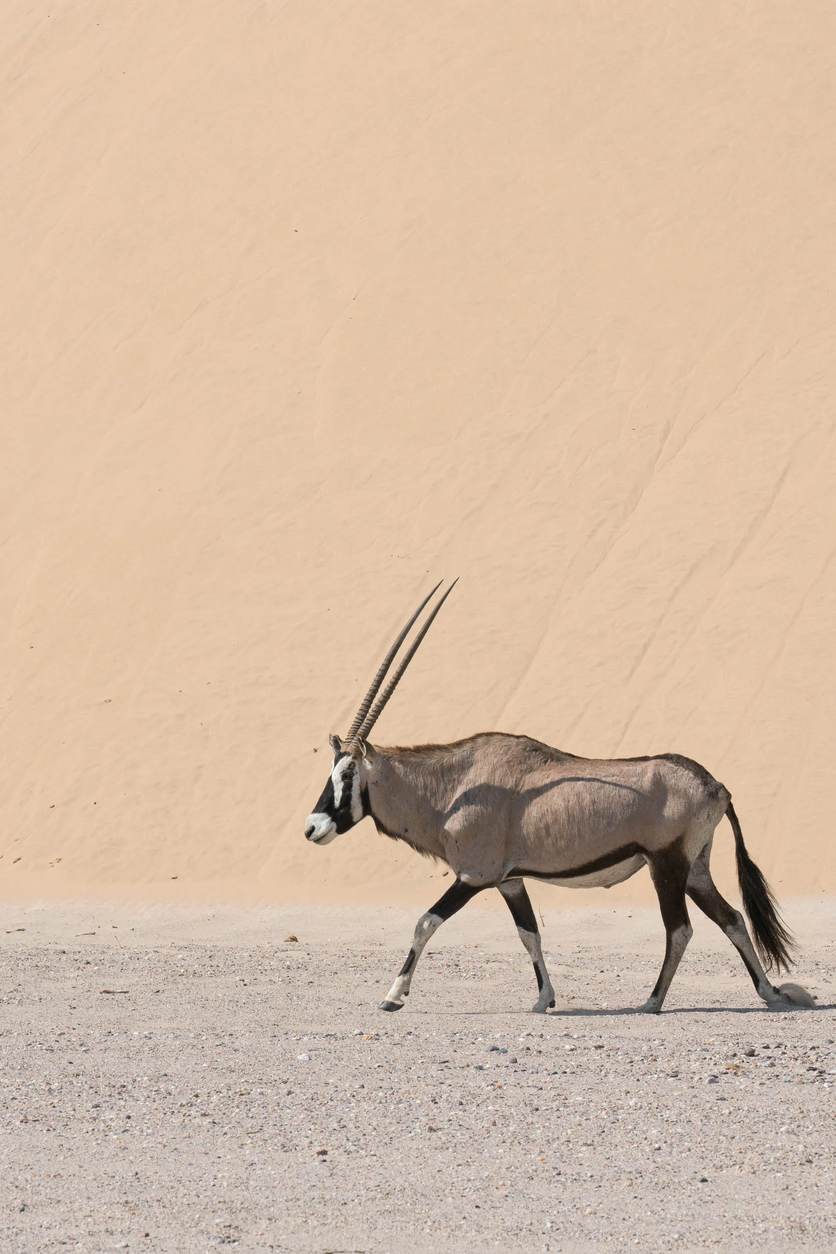 the_getaway_edit_namibia-13.jpg