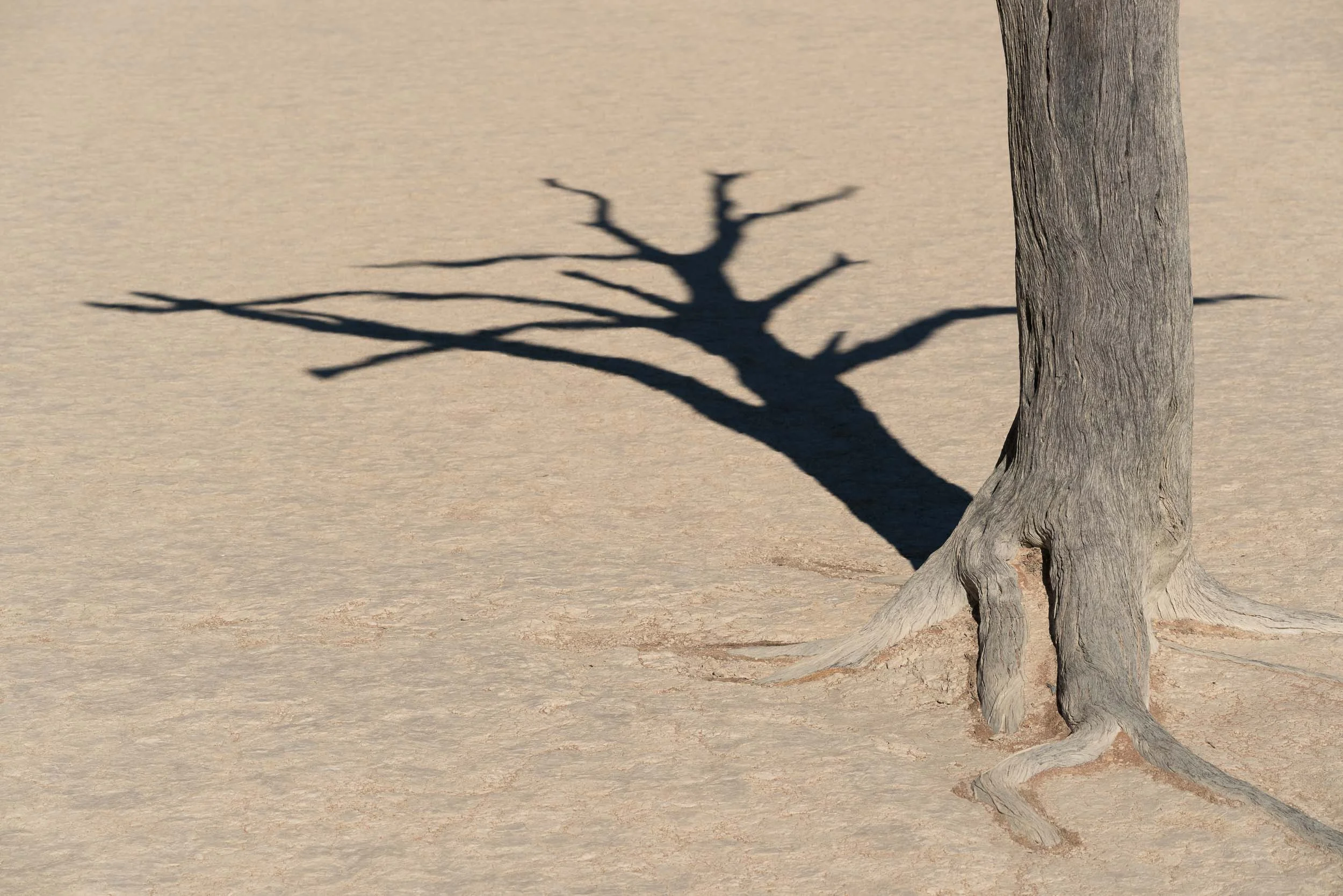 the_getaway_edit_namibia_sossusvlei-20.jpg