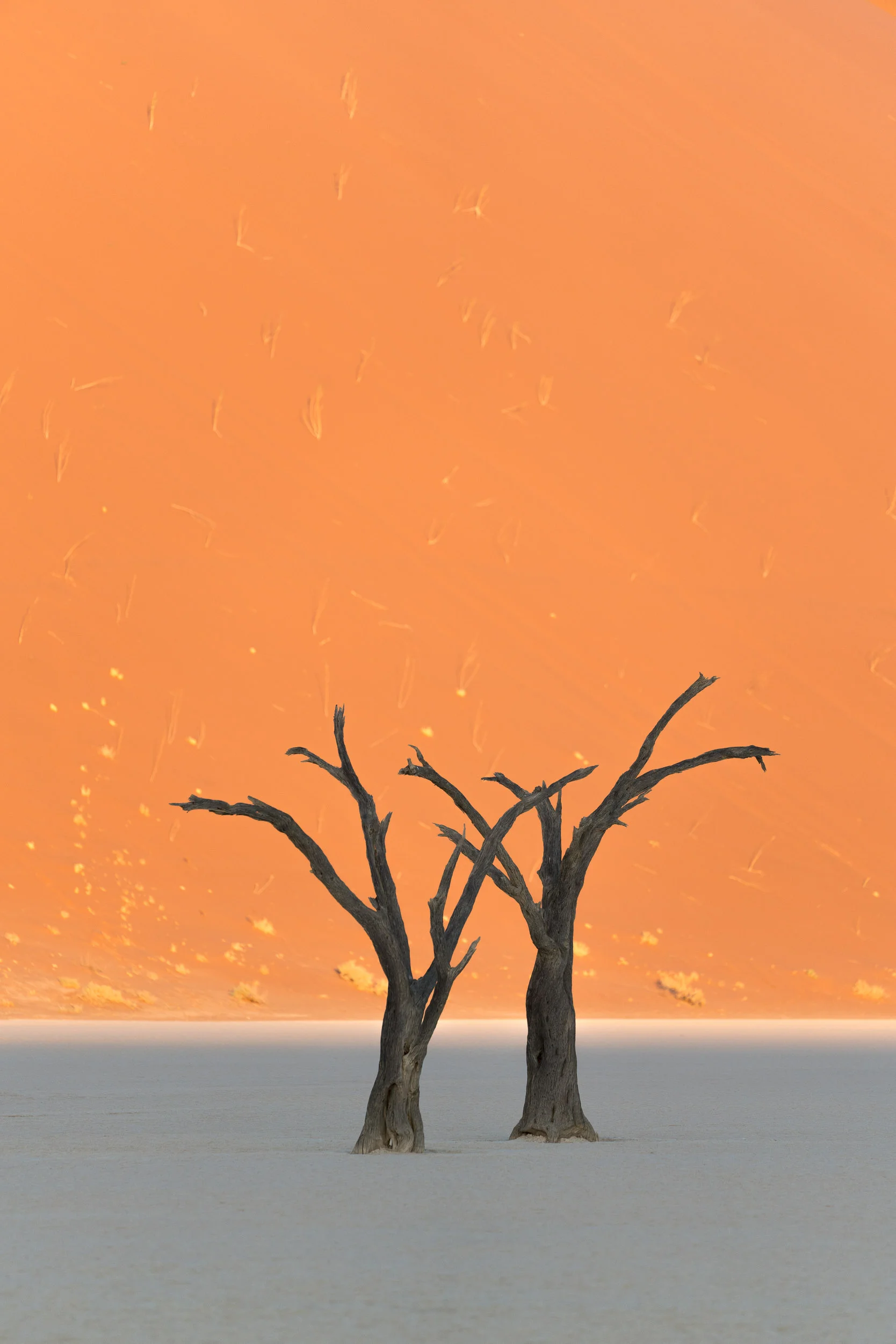 the_getaway_edit_namibia_sossusvlei-5.jpg