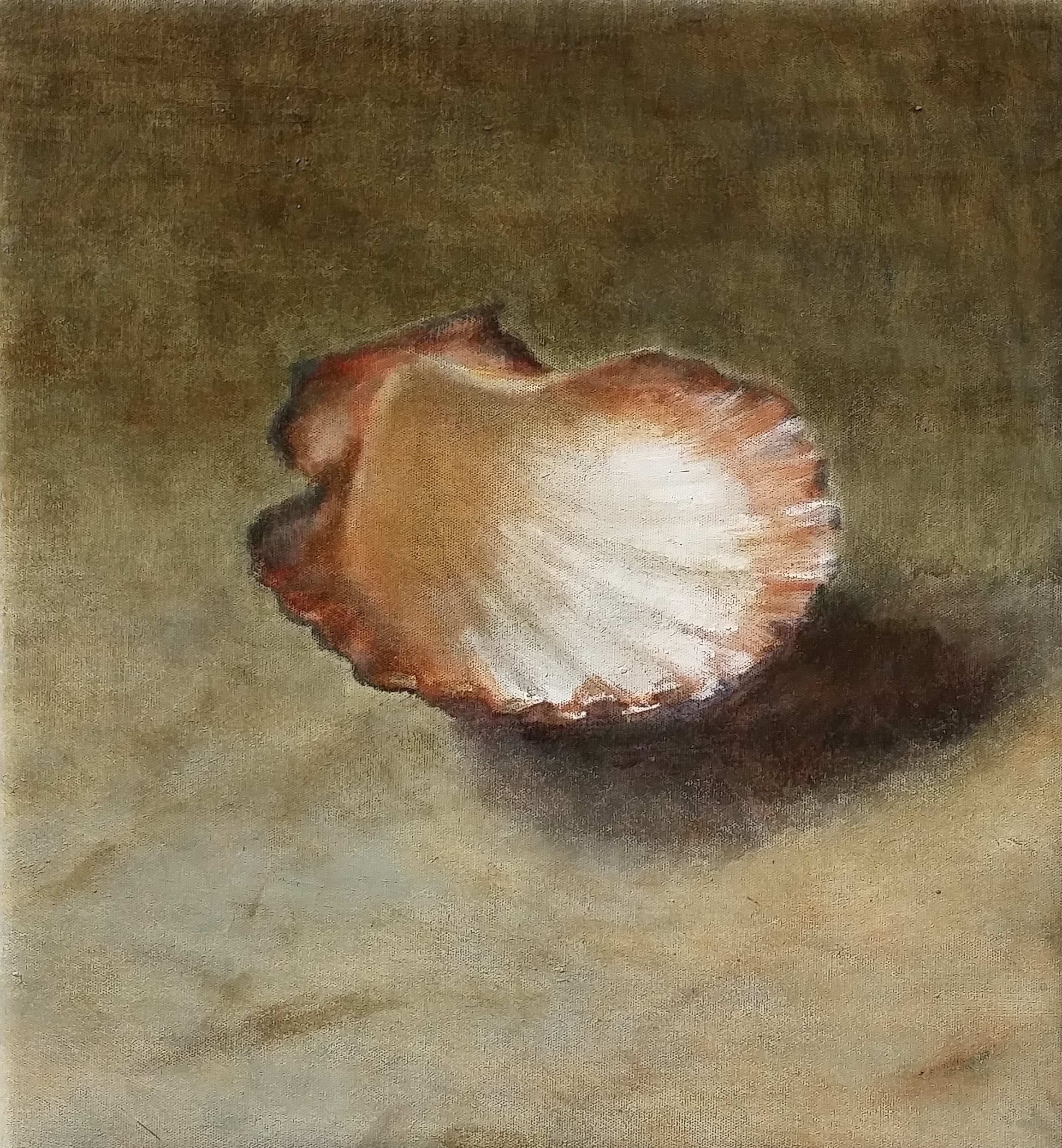 shell,1,oil.jpg