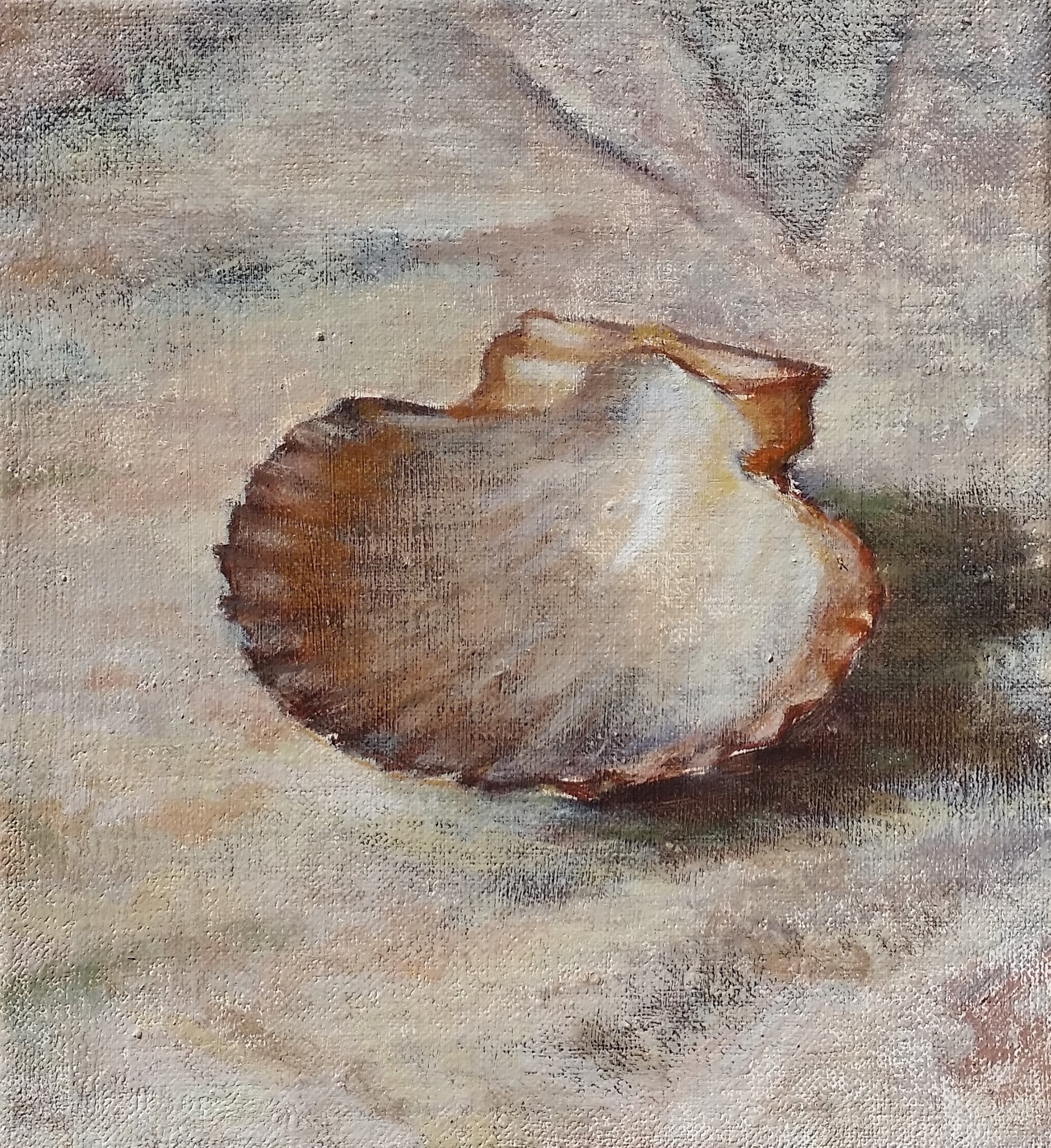 shell,3,oil.jpg