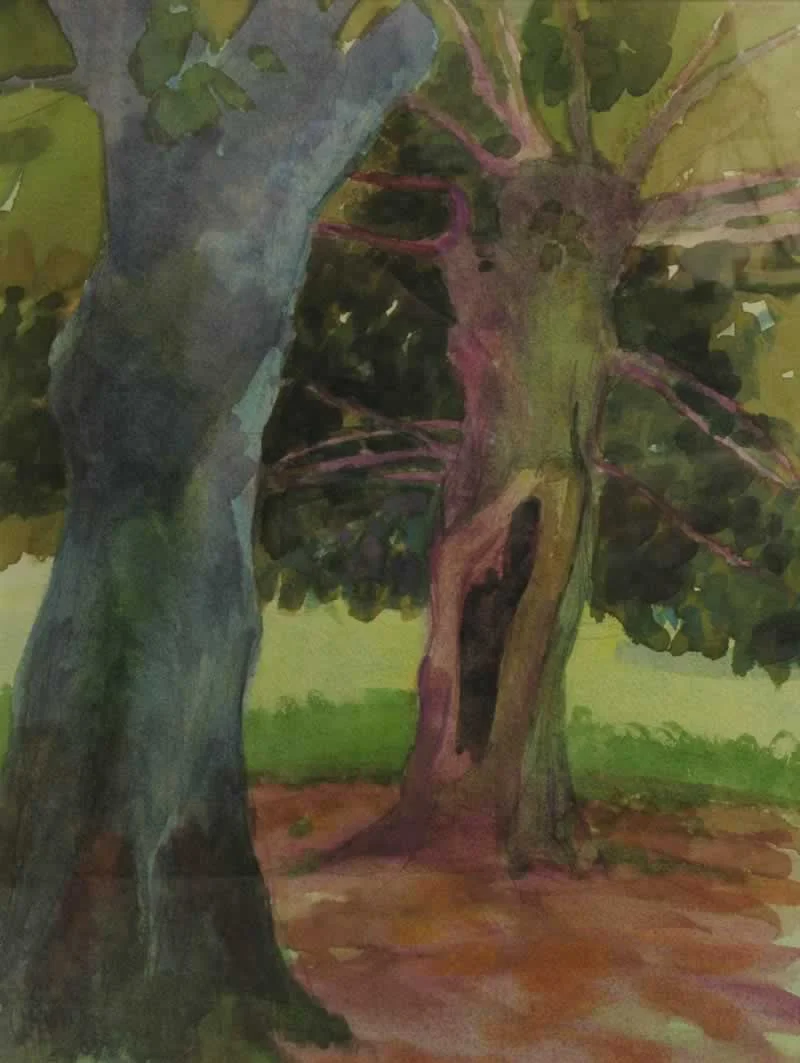 tilleuil trees, summer