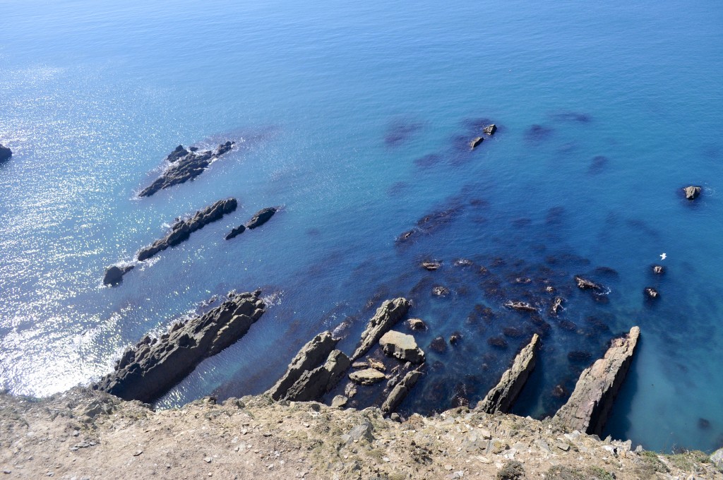 wild atlantic1.jpg