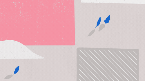 image-asset.gif