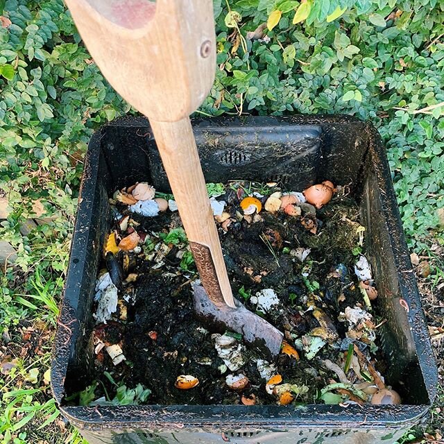 To celebrate International Composting Week (yip, its a thing, google it- I didn&rsquo;t just make it up 😂promise) ... I&rsquo;m finally pointing you in the direction of my COMPOST BLOG POST with @wecompost ⠀
.⠀
I love composting. I have a home compo
