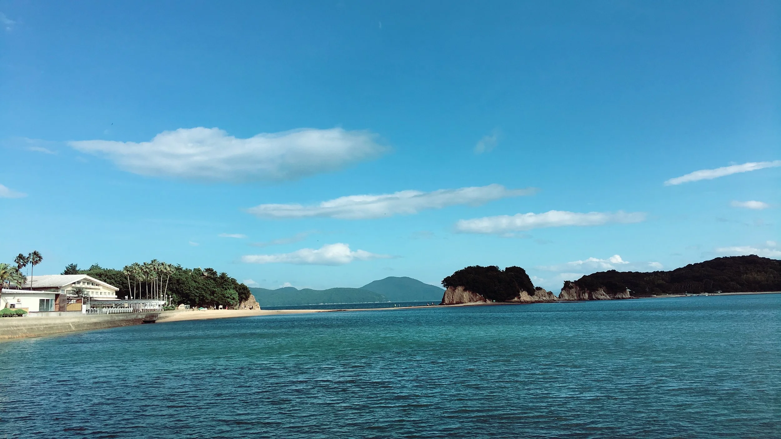 私の癒しの１つ