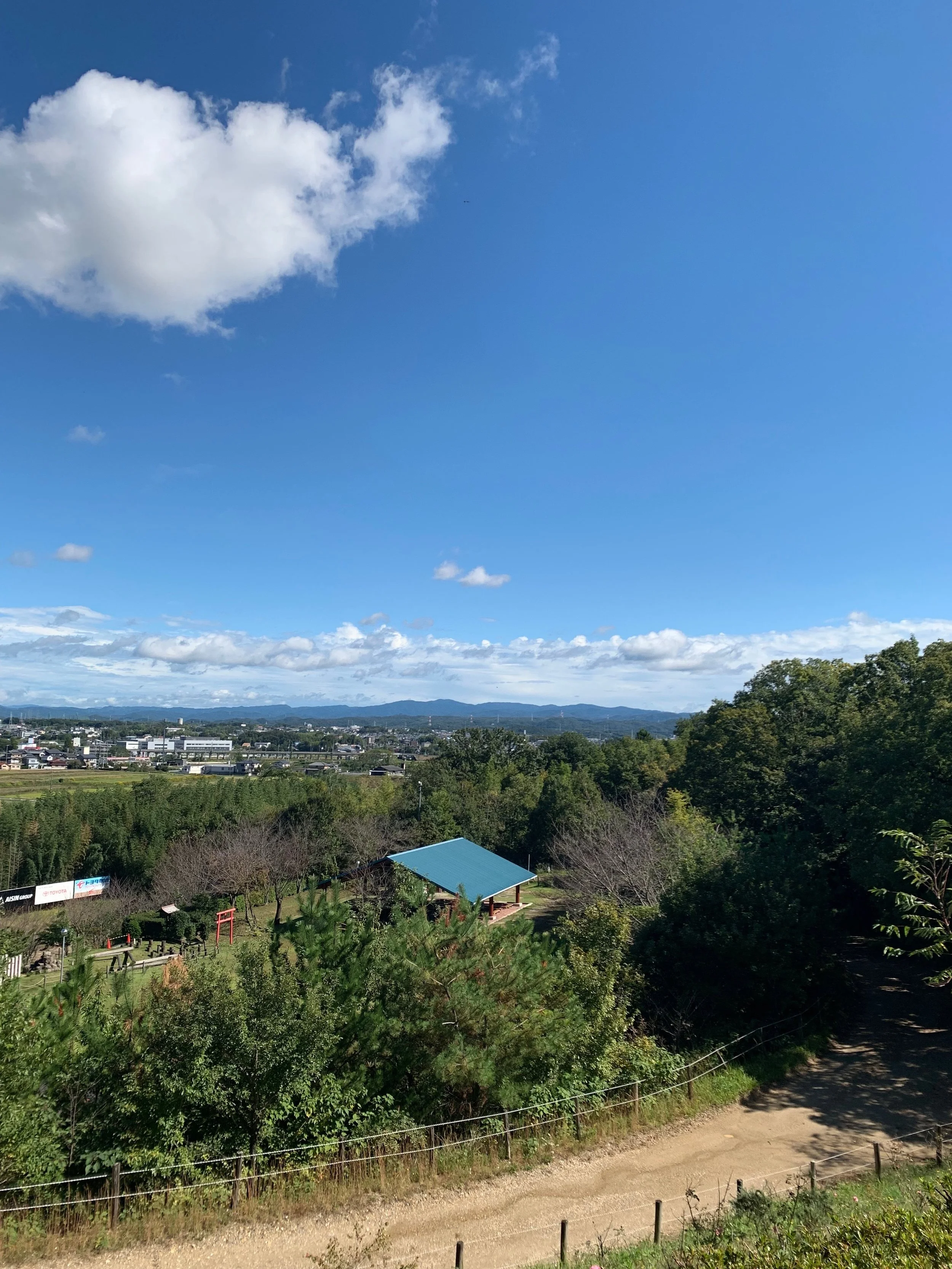 こども園最後の遠足