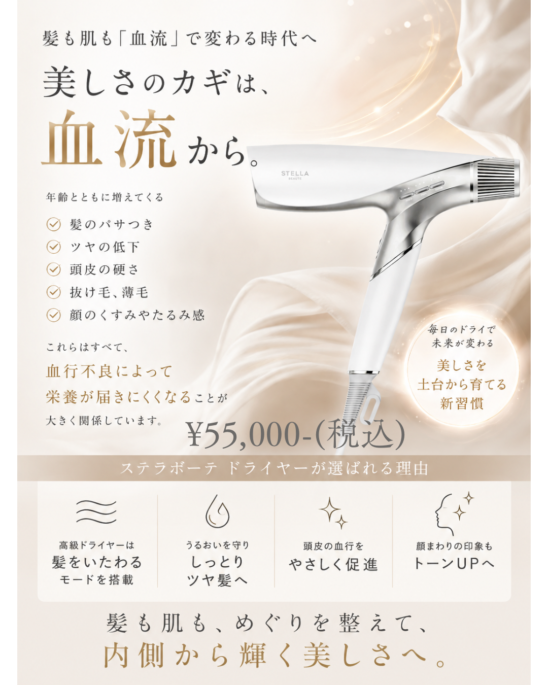 ステラドライヤー①.PNG