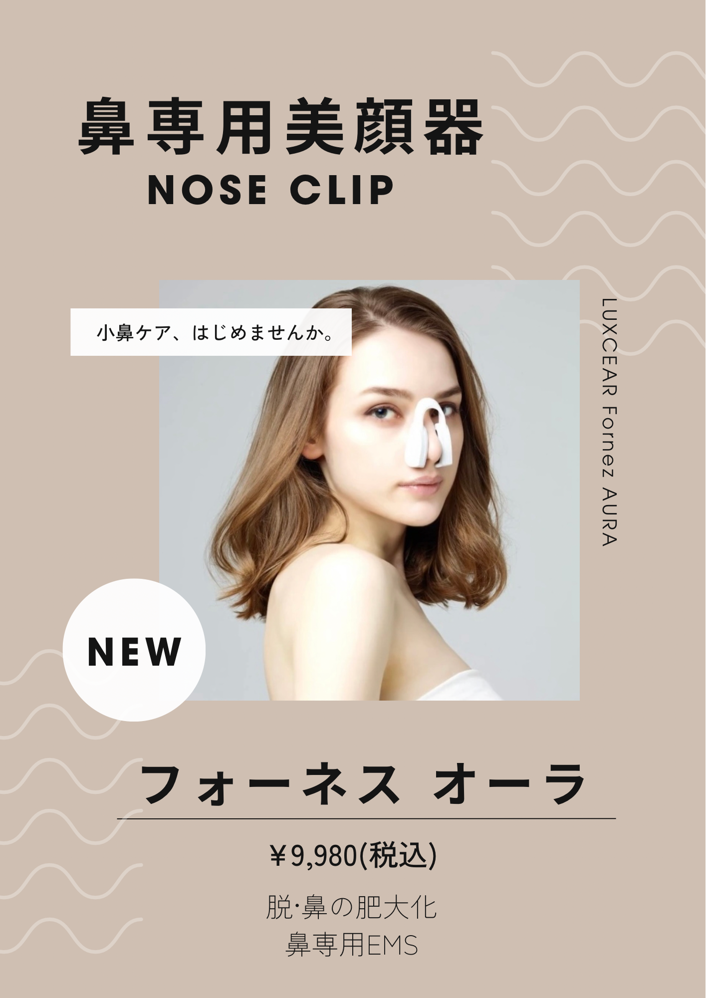 フォーネスオーラ (表紙).png