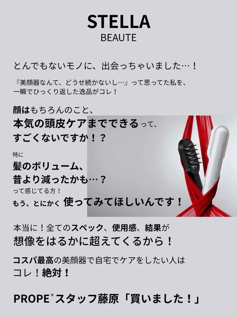 ステラ1.jpg