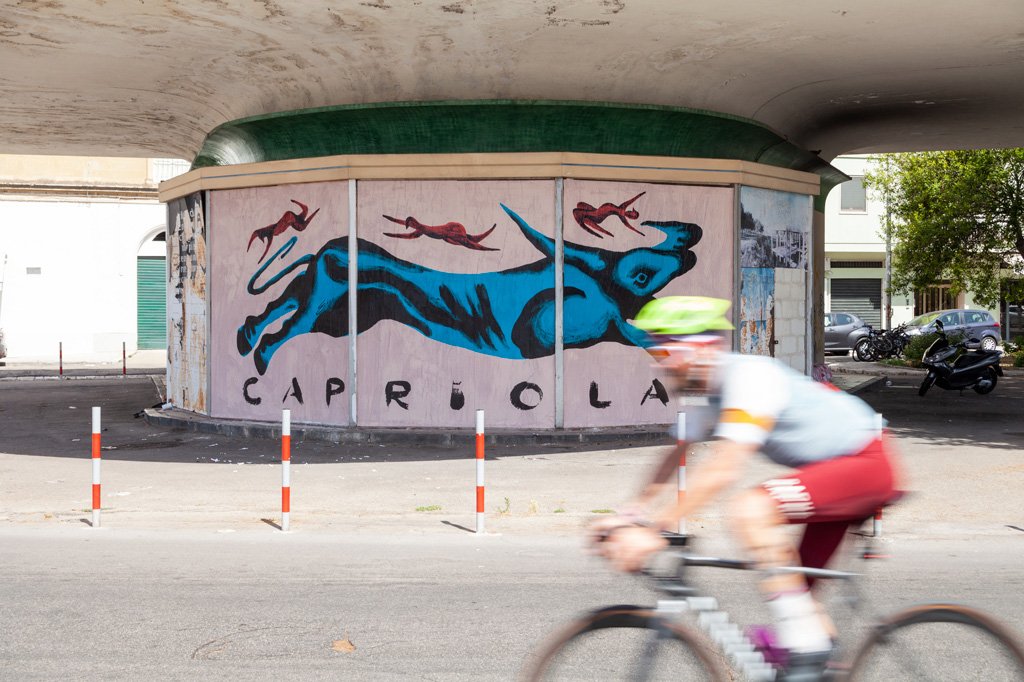 PIA - Festival Capriola, III editions_ph Raffaella Quaranta.jpg