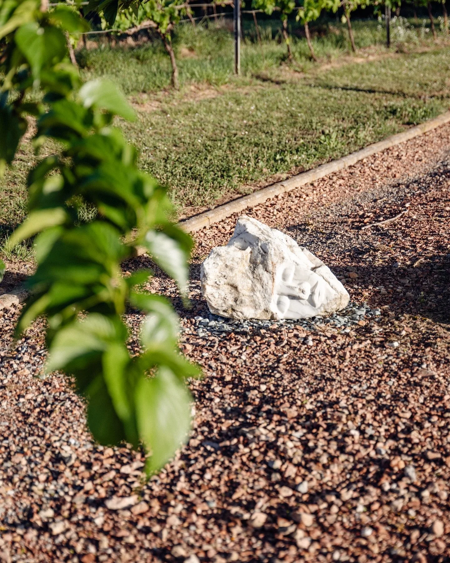Where the garden grows, the mind follows. Finding art in every leaf and shadow.

#art#materiaprimaartresidency#artresidency#tuscany#famigliacastellani