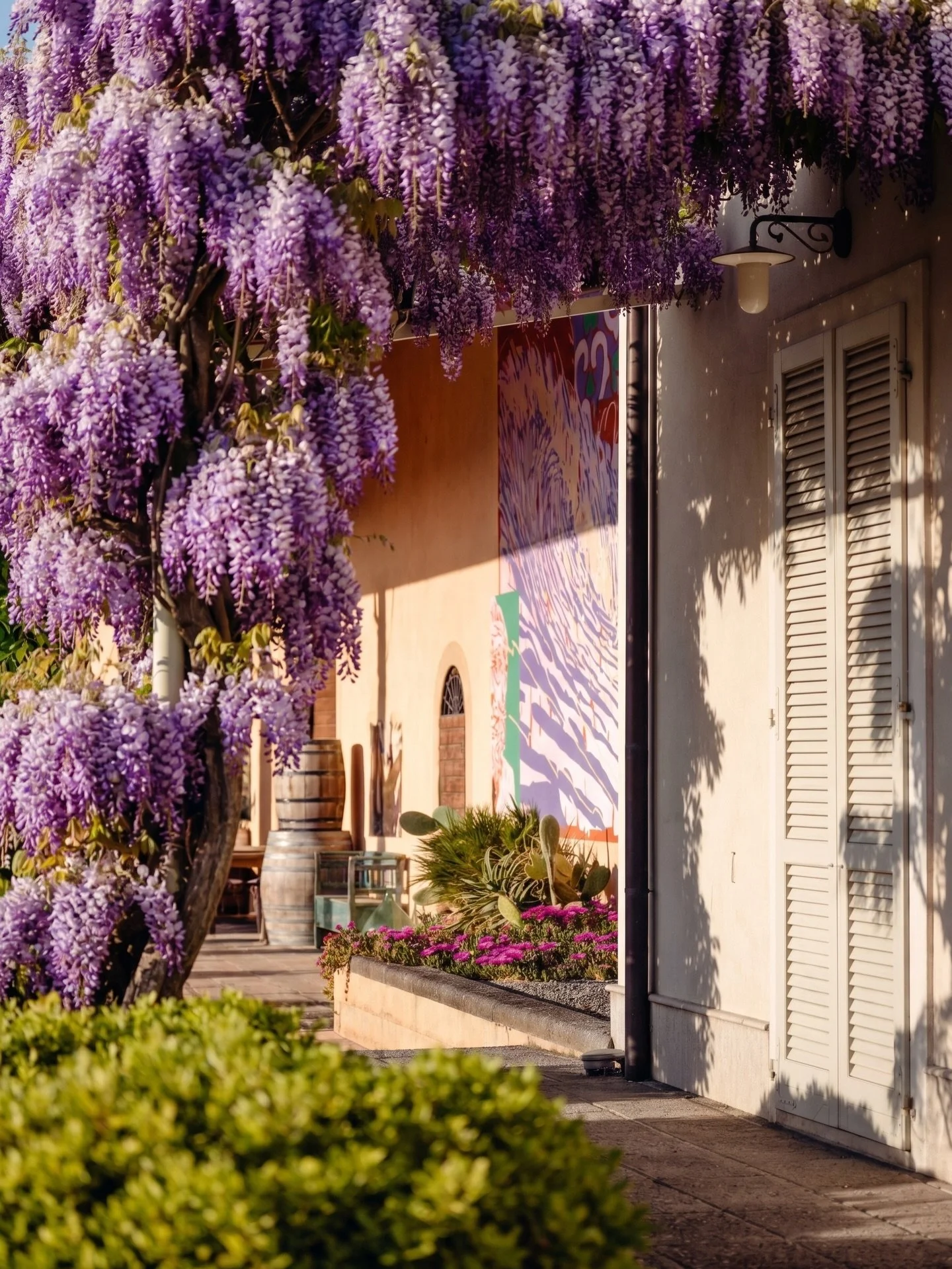 Nature is putting on its best show for the start of Materia Prima. Our residency is in full bloom and ready to welcome this year&rsquo;s artists to the heart of Ceppaiano. Let the inspiration begin.

#art#materiaprimaartresidency#artresidency#tenutad