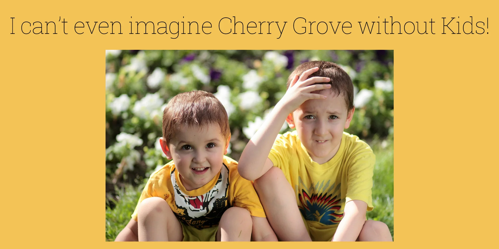 banner-size KG imagine without.jpg