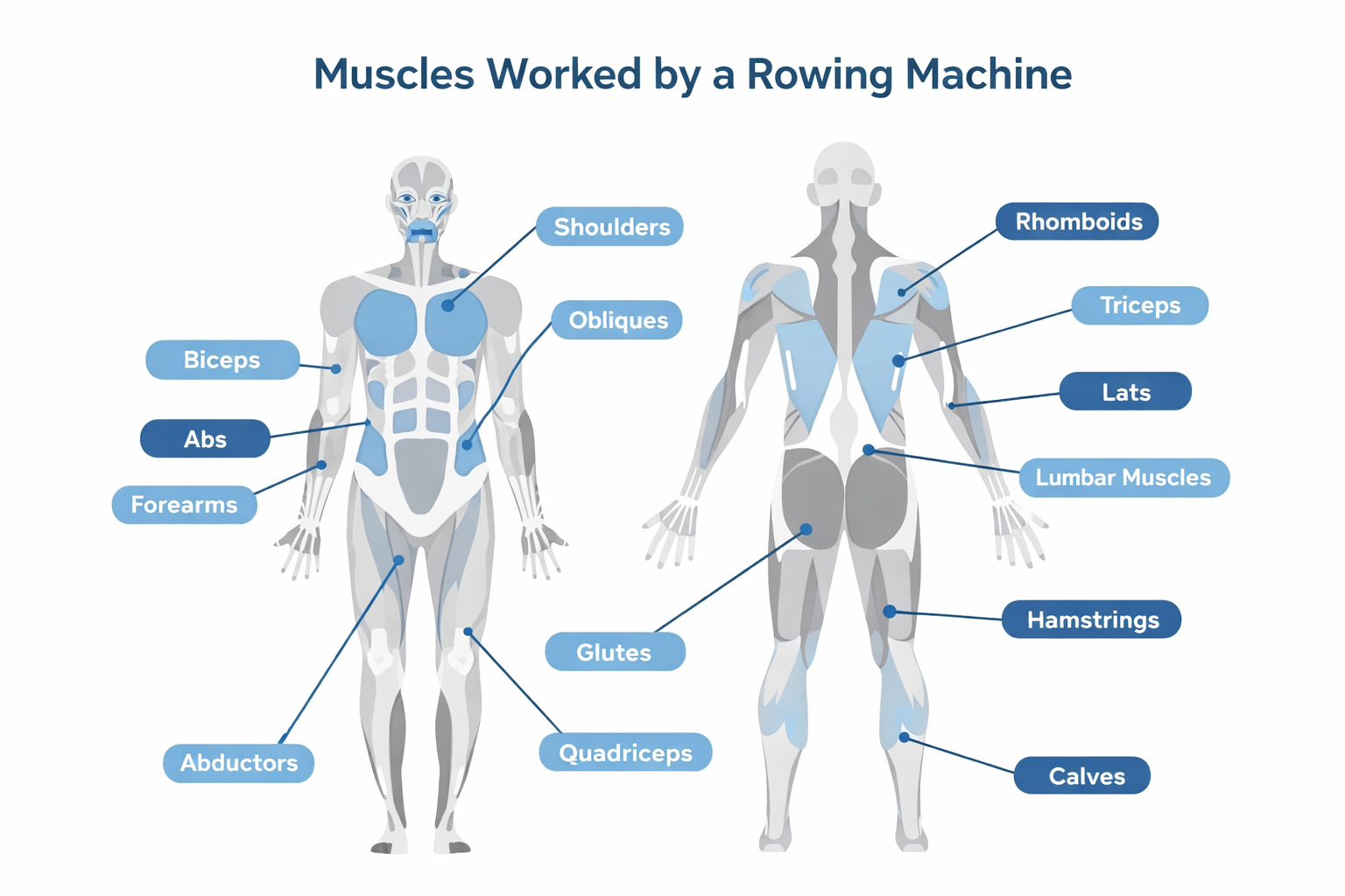 ChatGPT Image Feb 15, 2026, 04_27_44 PM.png