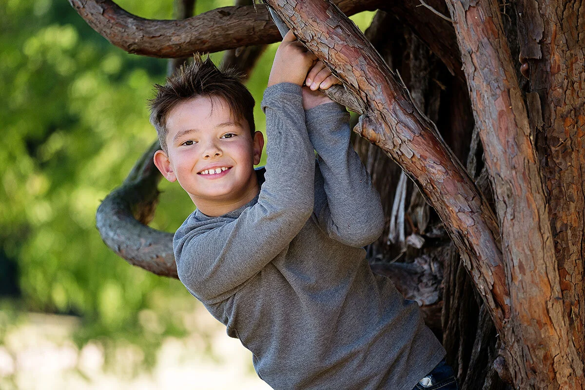 Boy in a tree.jpg