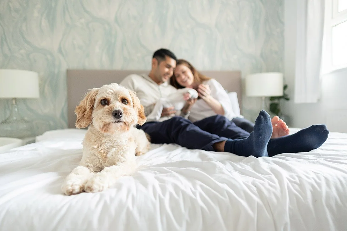 Relaxed 'At Home' Newborn Photography in Harpenden (With the Family Dog 🐾)