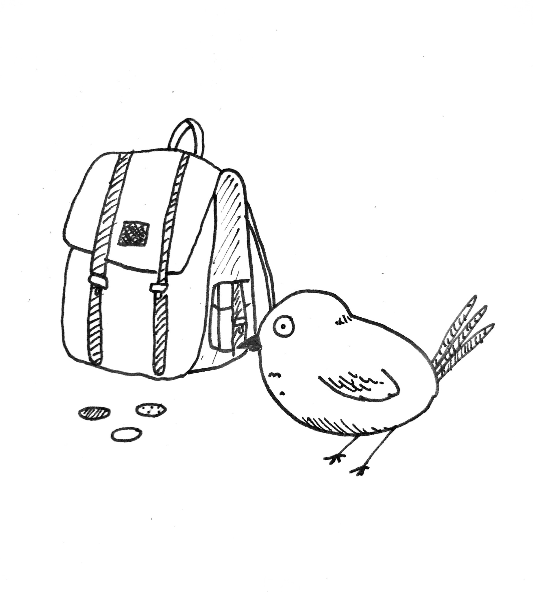 image1.jpeg