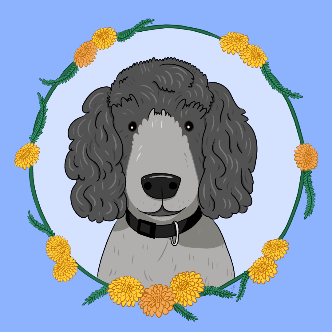 dog for mum.PNG