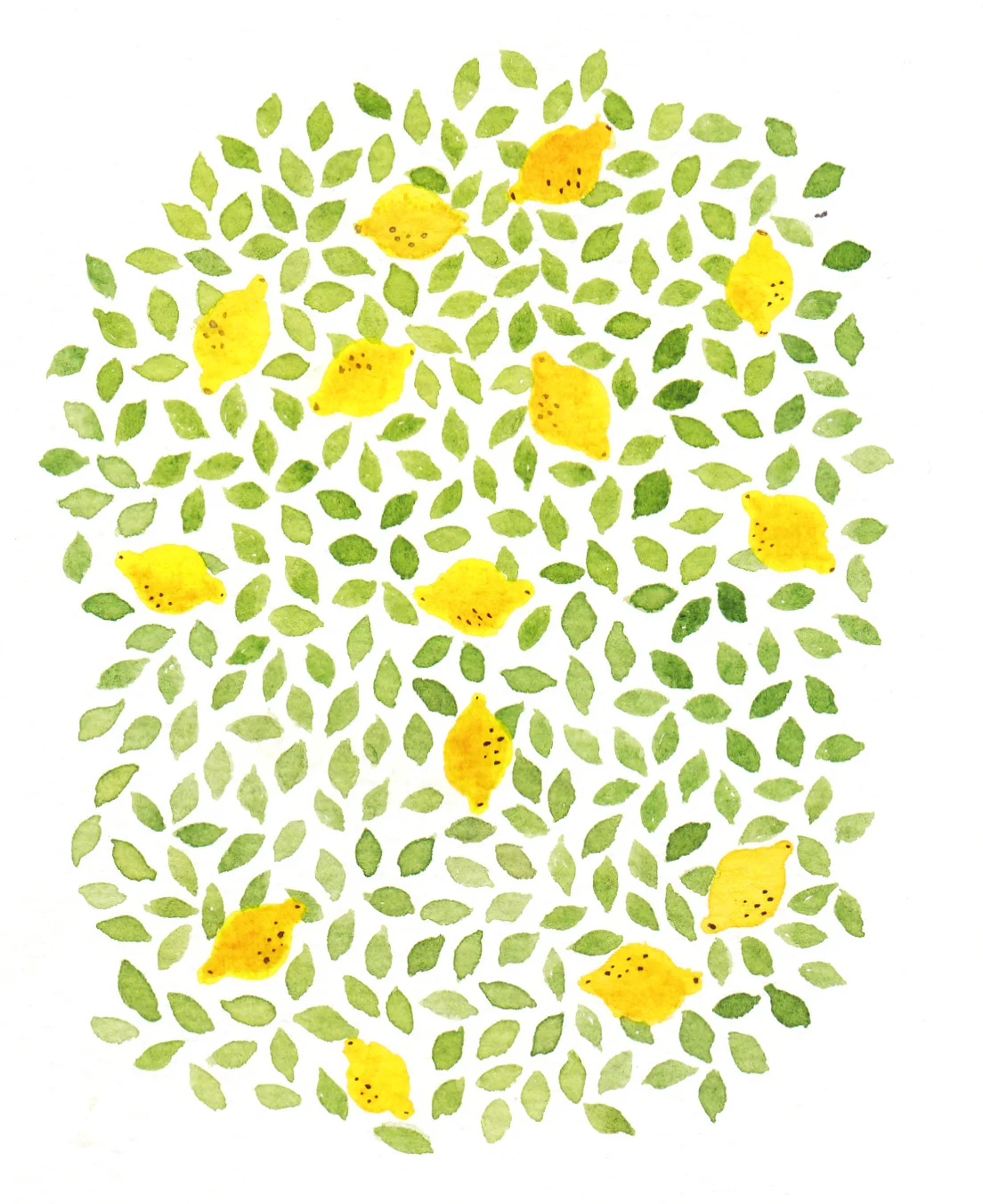 IMG.jpg