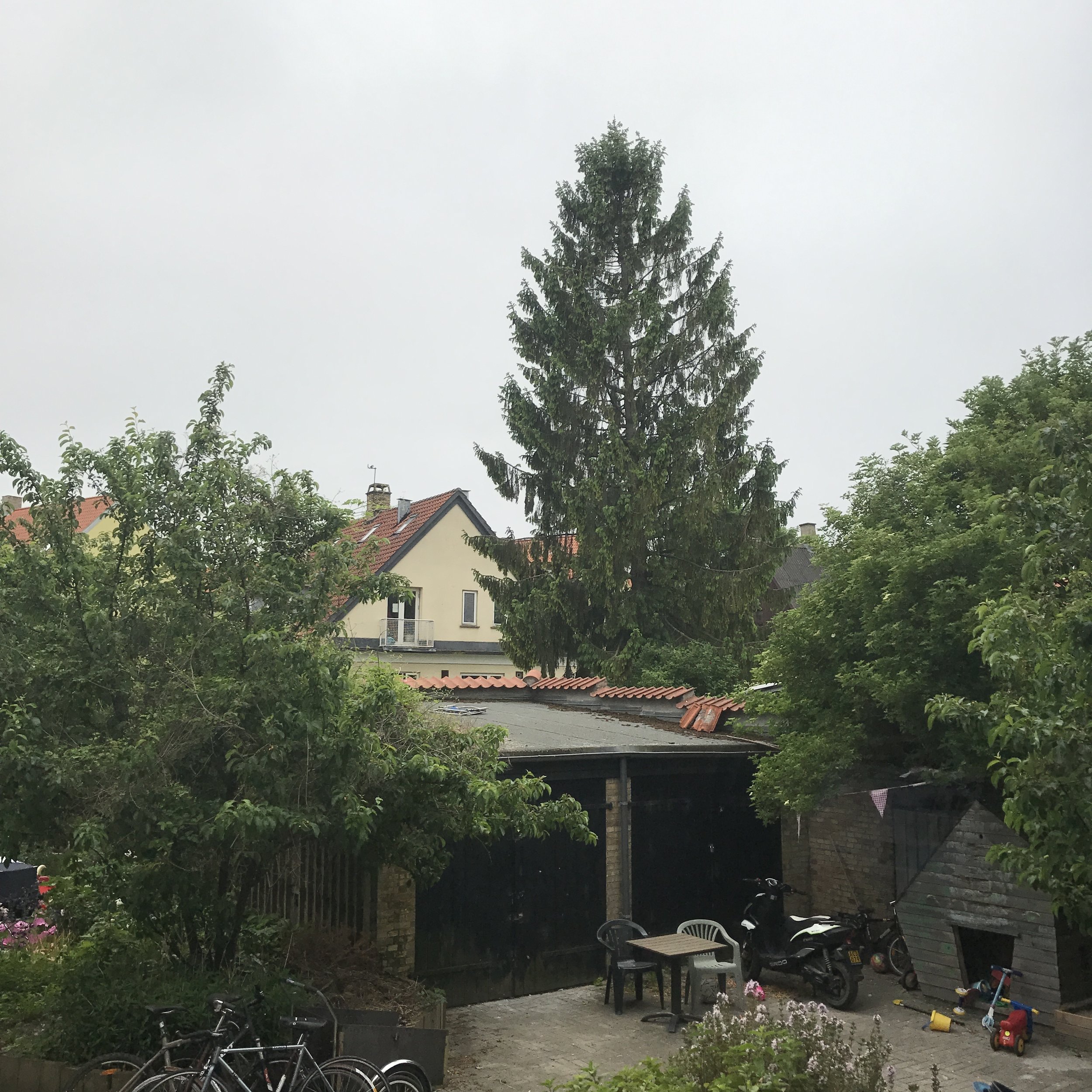 Just Another Day of Sun