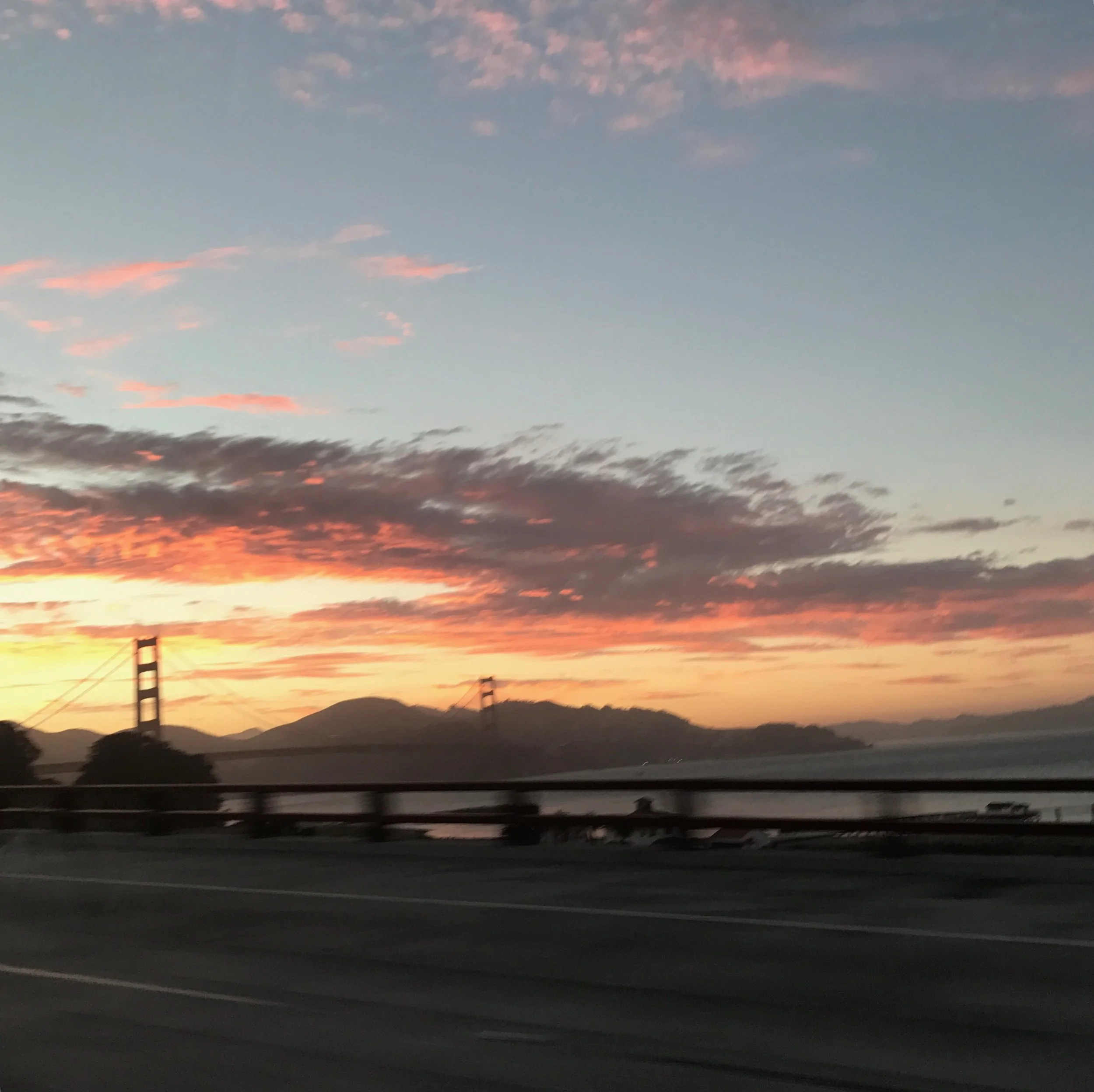 Flowers in Your Hair